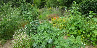 naturgarten