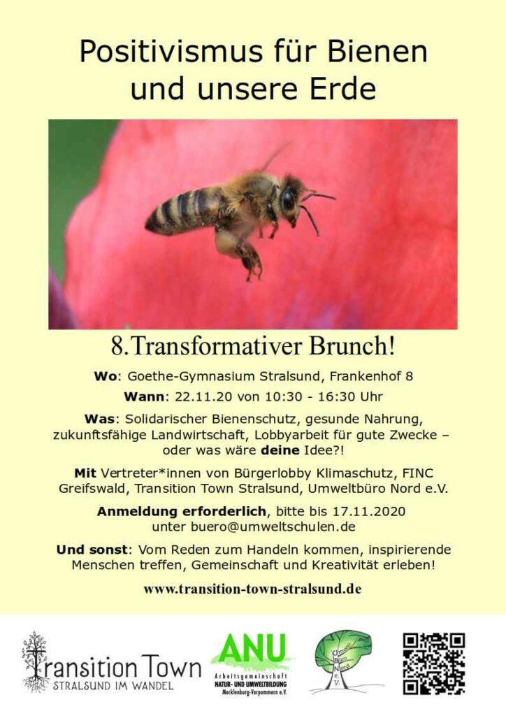 8. transformativer Brunch - Positivismus für Bienen und unsere Erde 1 20201122 TT Brunch Poster 1